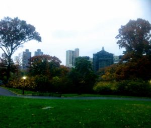 centralnyj-park-2