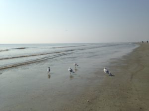 IMG_9721